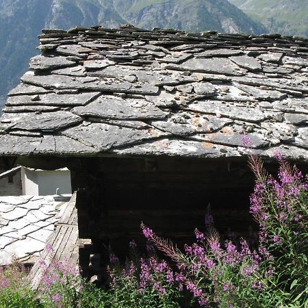 Alpia 26 - Zwei Zimmerwohnung In Traditionellem Walliser Haus Gasenried エクステリア 写真