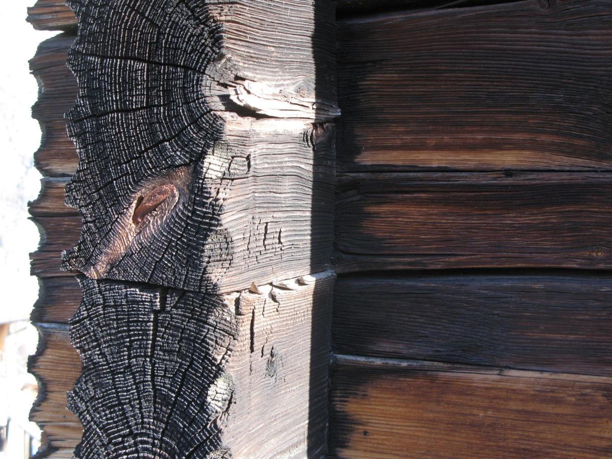 Alpia 26 - Zwei Zimmerwohnung In Traditionellem Walliser Haus Gasenried エクステリア 写真