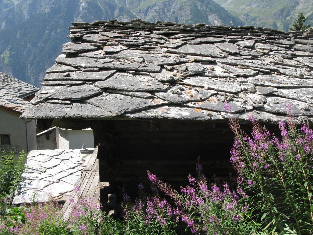 Alpia 26 - Zwei Zimmerwohnung In Traditionellem Walliser Haus Gasenried エクステリア 写真